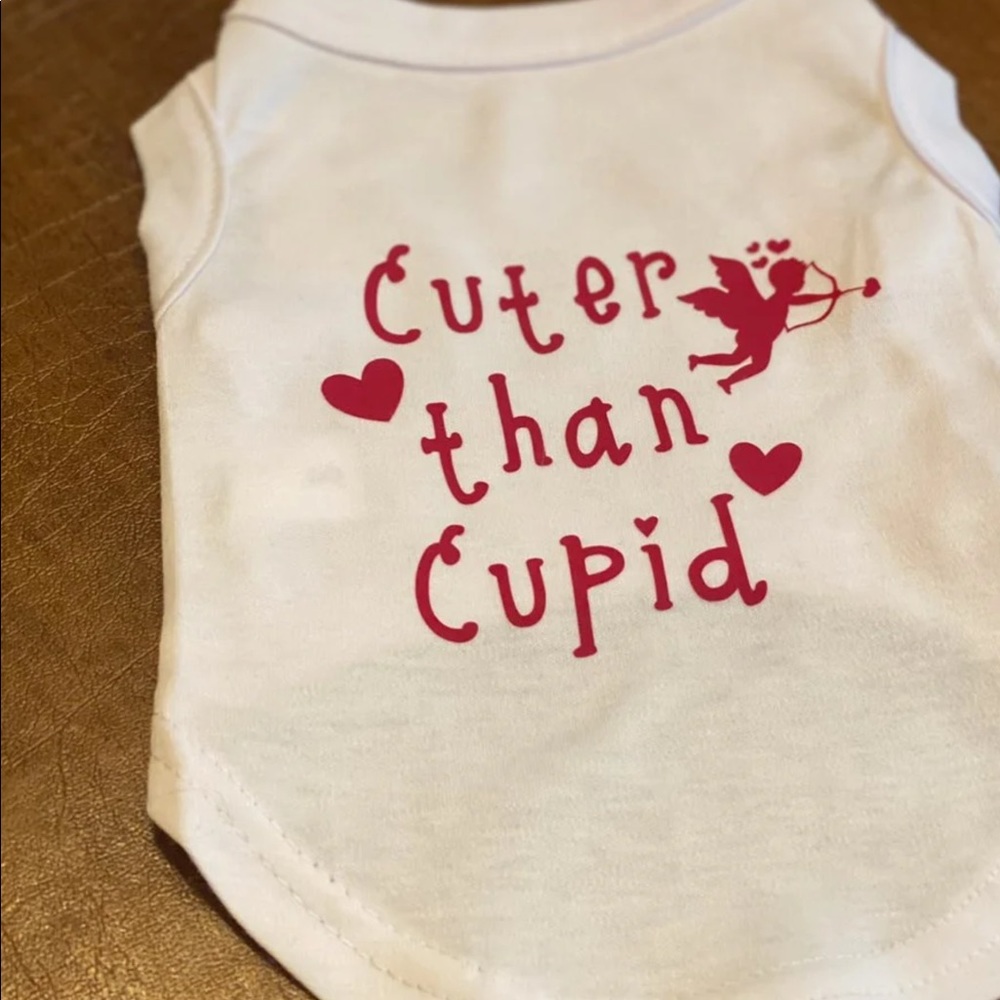 Pet shirt for Valentine’s Day